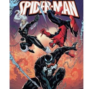 Spider-Man Comic Art Poster